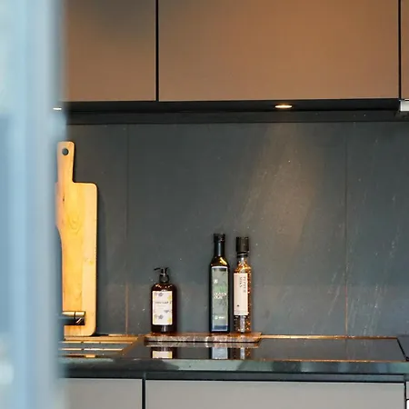 Modern One-bedroom In Appartement *