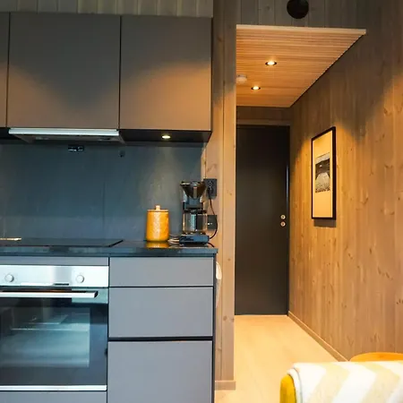 Appartement Modern One-bedroom In *